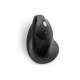 Kensington Pro Fit souris RF sans fil Optique 1600 DPI Droitier - 2