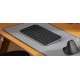 Logitech Lift souris Gauche RF sans fil + Bluetooth Optique 4000 DPI - 31