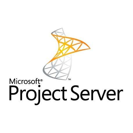 Microsoft Project Server - 1