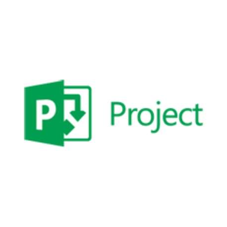 Microsoft Project Professional, 3Y, Level D, Government, Additional Product - 1