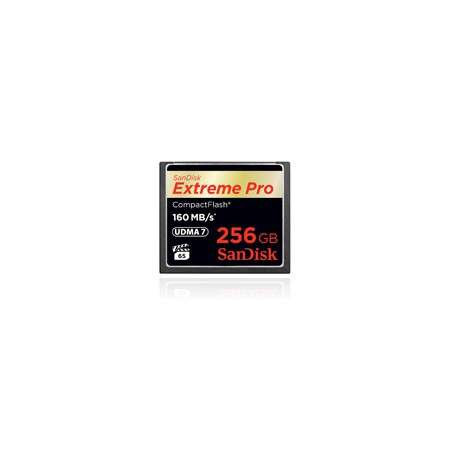 Sandisk Extreme PRO, 256GB 256Go CompactFlash mémoire flash - 1