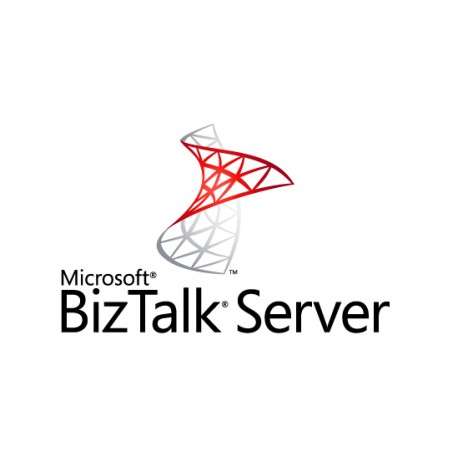 Microsoft BizTalk Server 2013 Standard - 1