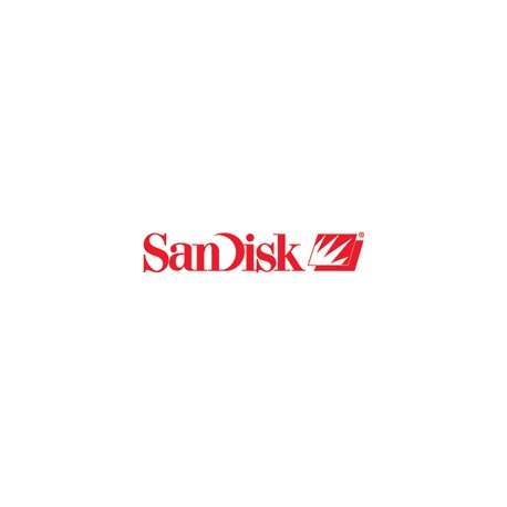 Sandisk Client PC SA530 SATA 256GB M.2 2280 - 1