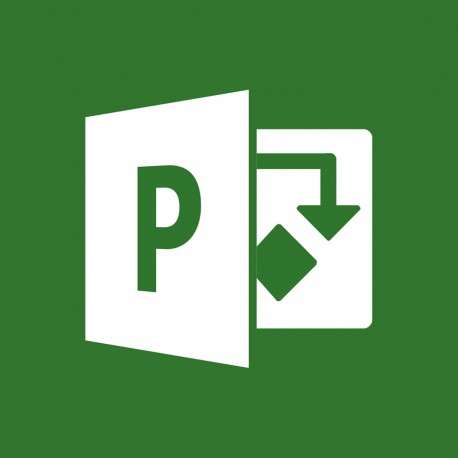 Microsoft Project - 1